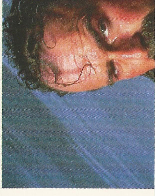 WWF Merlin Stickers 1991 Jake the Snake Roberts #86