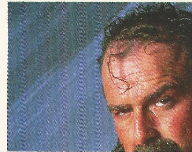 WWF Merlin Stickers 1991 Jake the Snake Roberts #86
