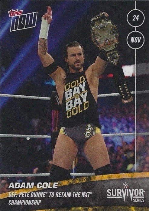 Adam Cole DEF. Pete Dunne to Retain the NXT Championship