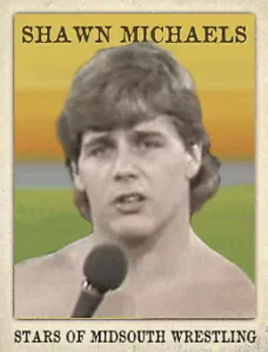 Shawn Michaels trading card PW Catalog