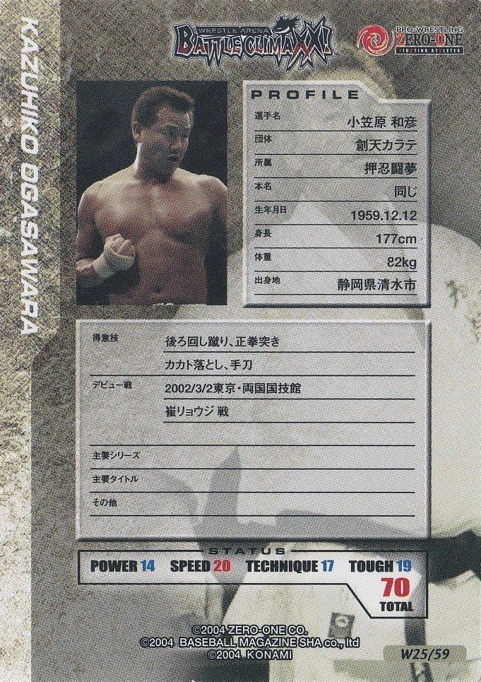 Kazuhiko Ogasawara - image 2