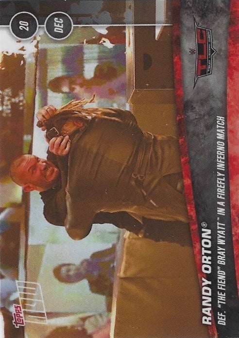 Randy Orton DEF. “the Fiend” Bray Wyatt in a Firefly Inferno Match