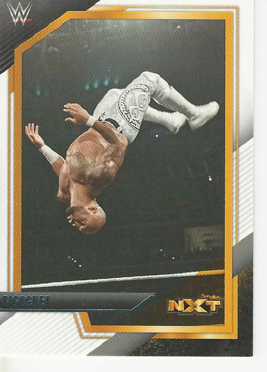 WWE Panini NXT 2022 Ricochet #120