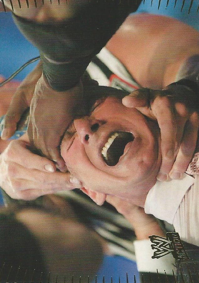 WWE Topps Action 2007 Vince McMahon #87