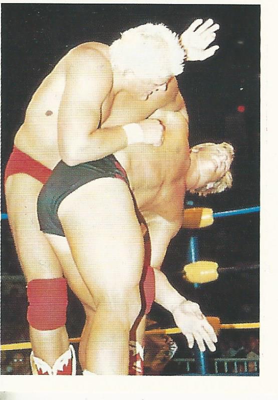 WCW Euroflash 1992 Sticker Dustin Rhodes #87
