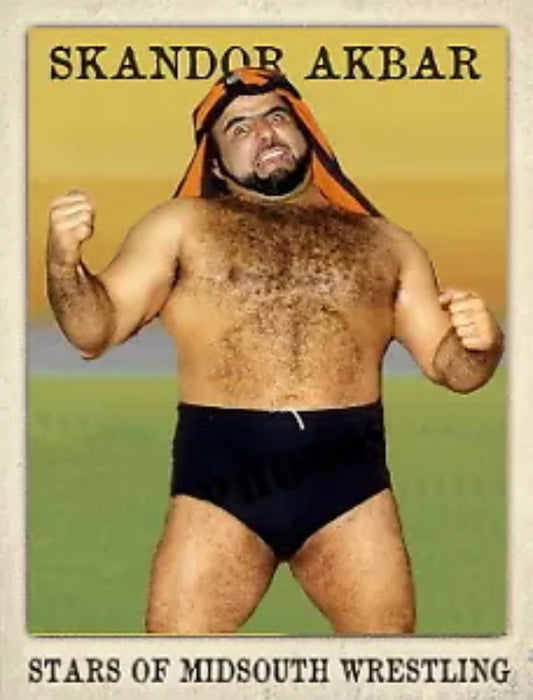 Skandor Akbar trading card PW Catalog