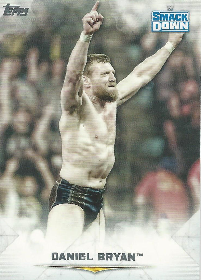 WWE Topps Undisputed 2020 Daniel Bryan #34