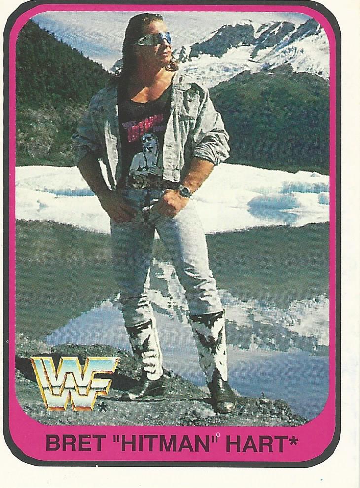 WWF Merlin 1991 Bret Hart #88