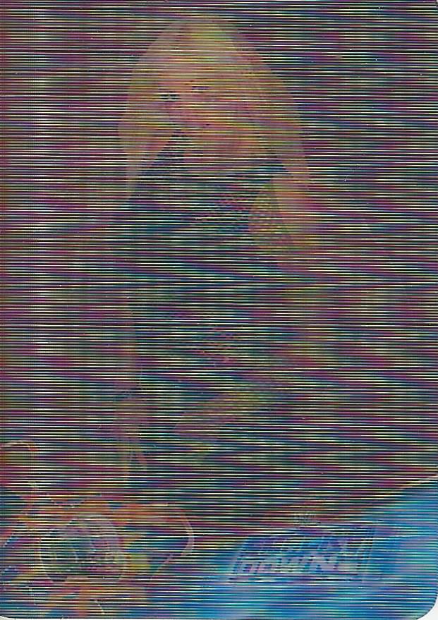 WWE Prominter Animotion 2005 Torrie Wilson #88