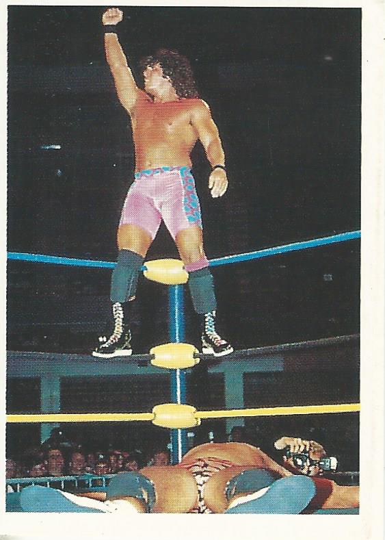 WCW Euroflash 1992 Sticker Scotty Flamingo #88