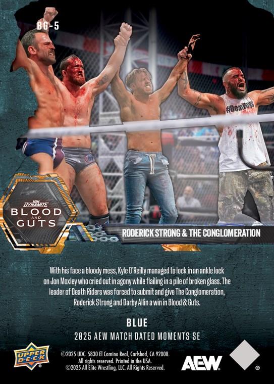Roderick Strong & the Conglomeration – Roderick Strong and the Conglomeration Stand Tall After Earning a Violent Victory in Blood & Guts