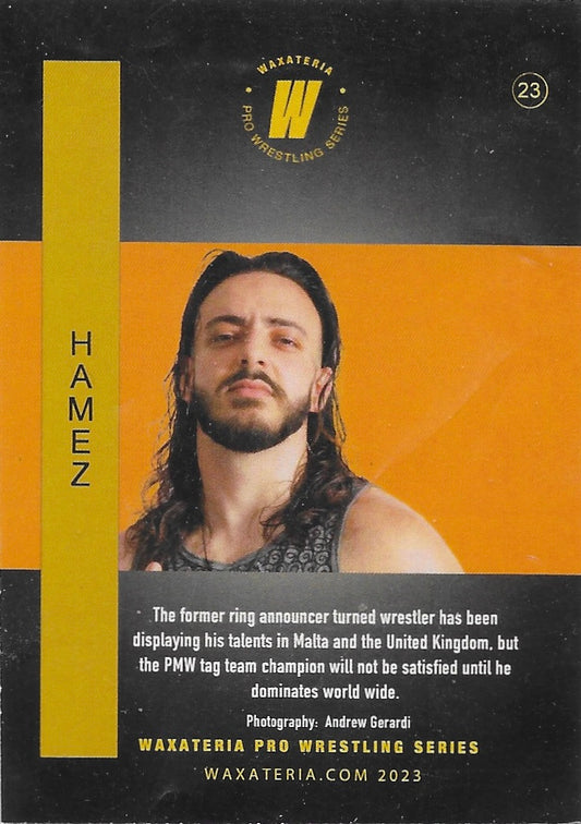 Hamez trading card PW Catalog