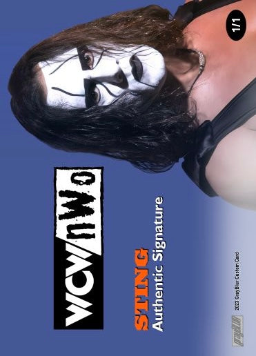 Sting – Wcw/nwo