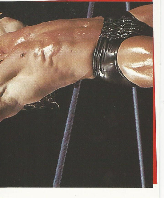 WWF Smackdown Stickers 2000 Triple H #89