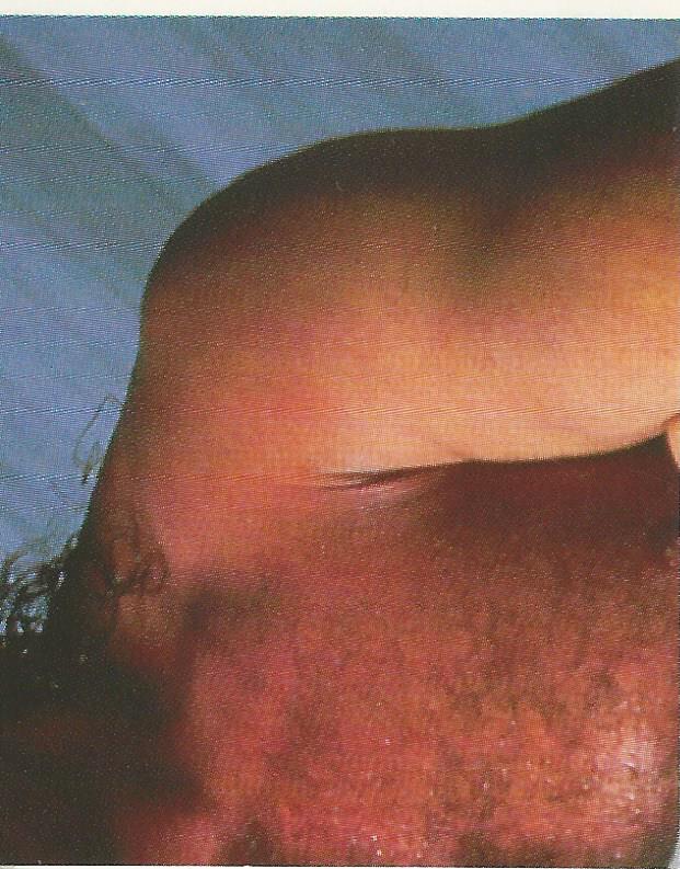 WWF Merlin Stickers 1991 Jake the Snake Roberts #89