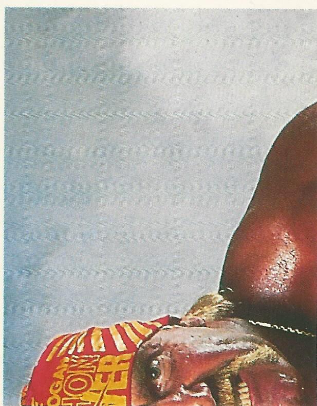 WWF Merlin Stickers 1991 Hulk Hogan #8