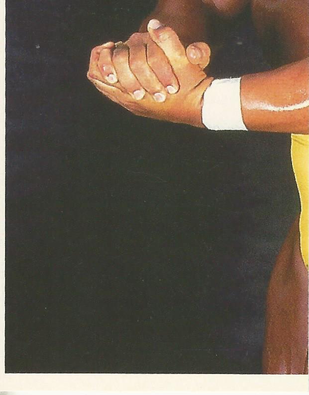 WWF Merlin Stickers 1992 Hulk Hogan #8