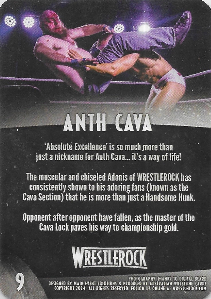 Anth Cava trading card PW Catalog
