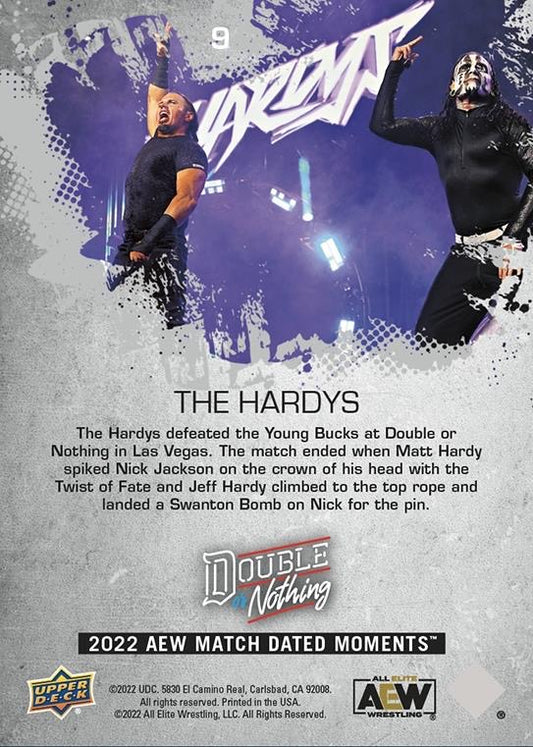 The Hardys – The Hardys Defeat the Young Bucks in a Battle of TAG Team Icons - image 2