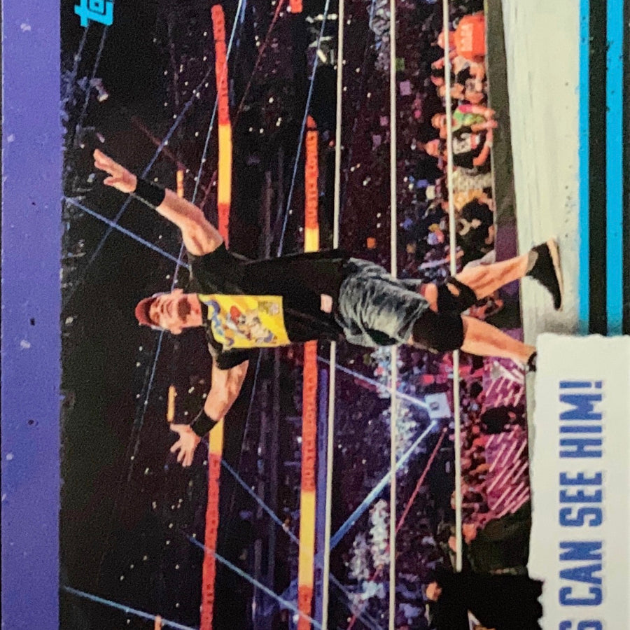 Summerslam – Vegas Can See HIM! trading card PW Catalog