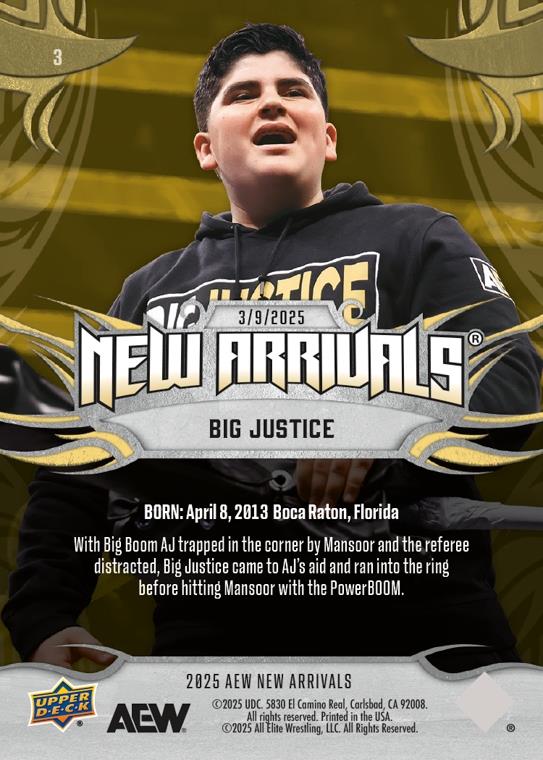Big Justice