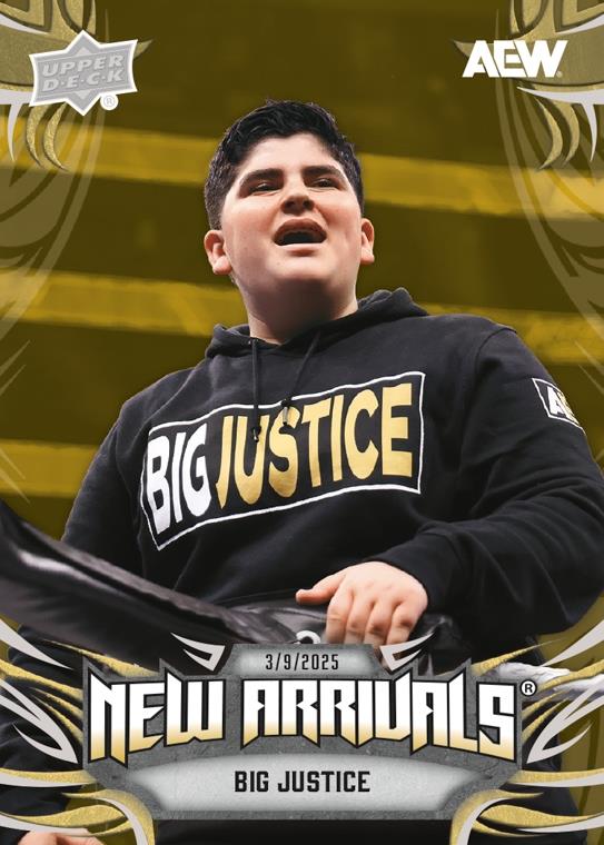 Big Justice