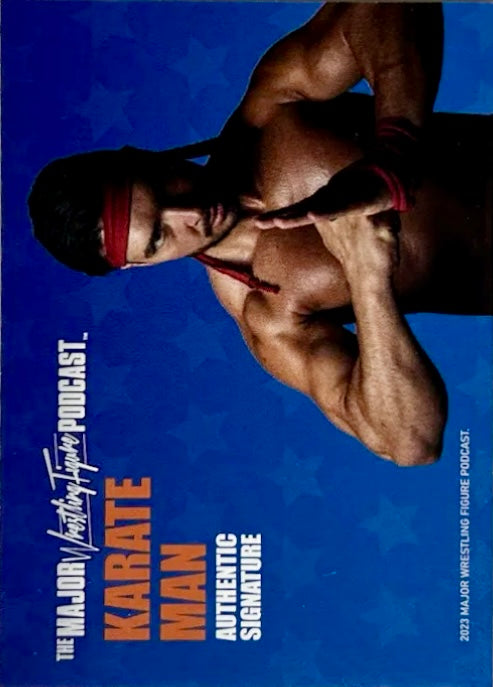 Karate Man - image 2