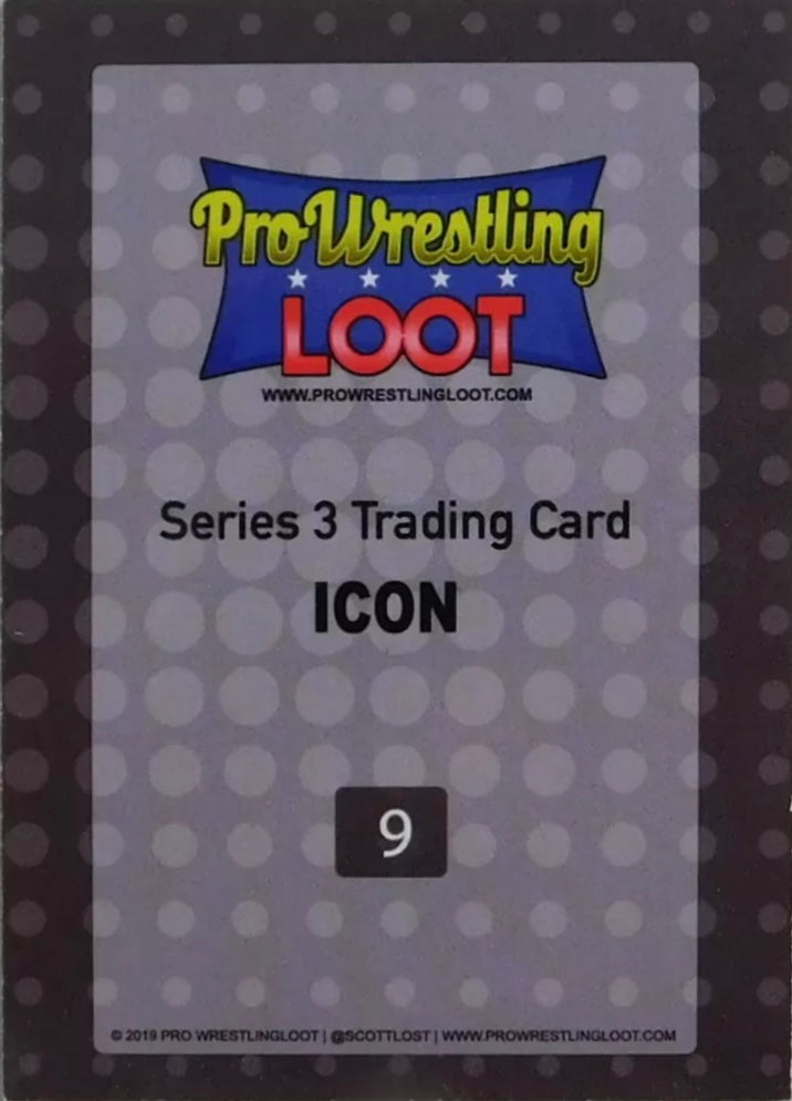 Icon (Randy Savage)