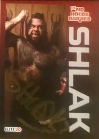 Shlak