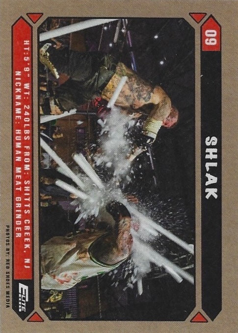 Shlak