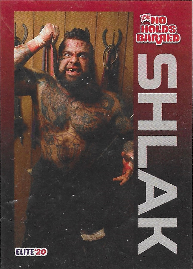Shlak