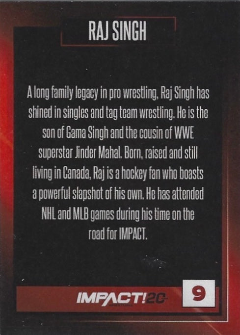 RAJ Singh
