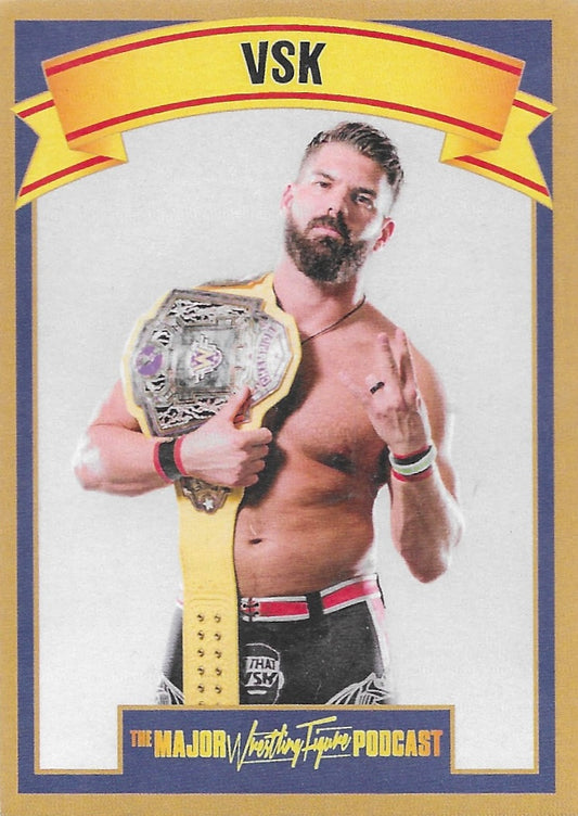 VSK trading card PW Catalog