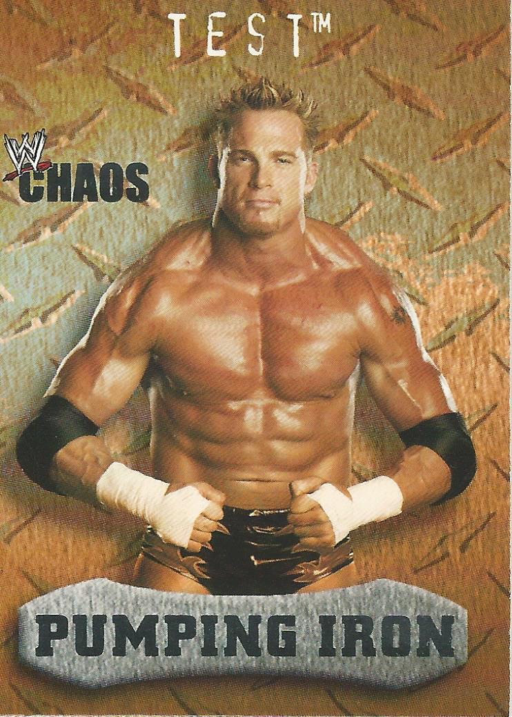 WWE Fleer Chaos 2004 Test #90