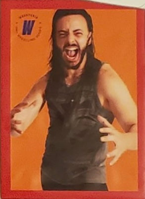 Hamez trading card PW Catalog