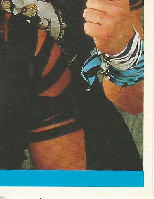 WWF Merlin Sticker Collection 1990 Rockers #91