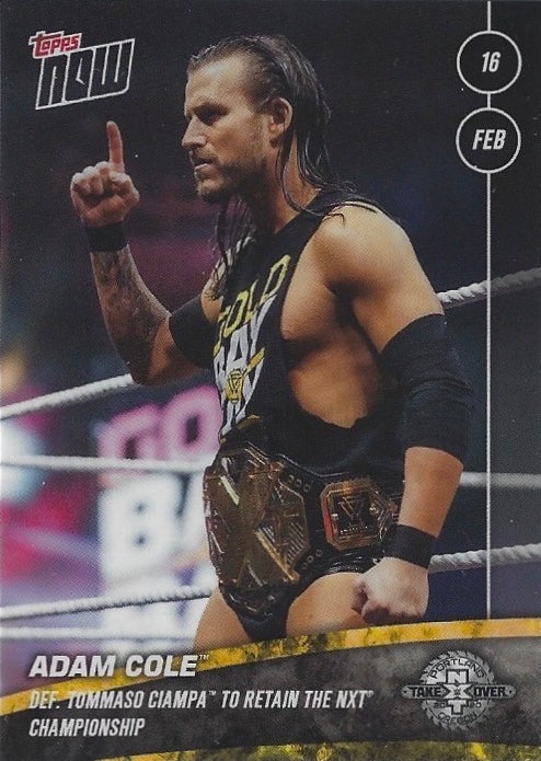 Adam Cole DEF. Tommaso Ciampa to Retain the NXT Championship