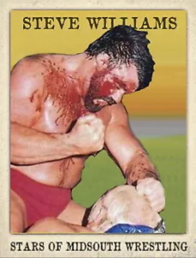 Steve Williams