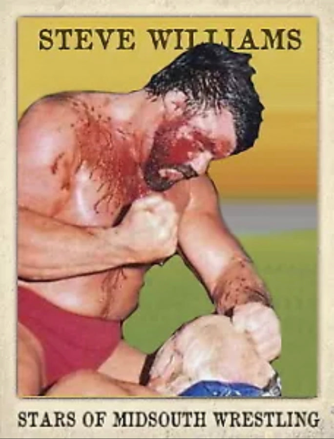 Steve Williams