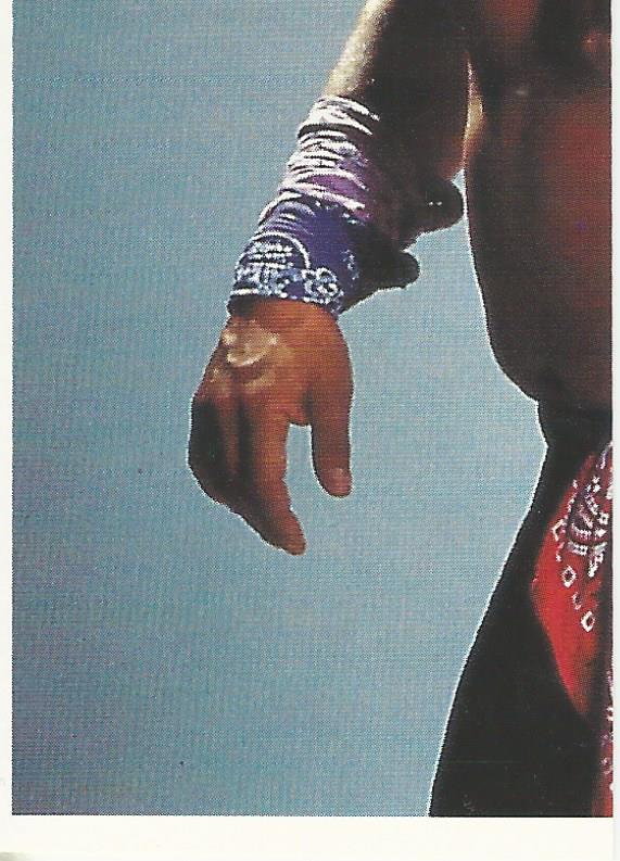 WCW Euroflash 1992 Sticker Ricky Morton #92
