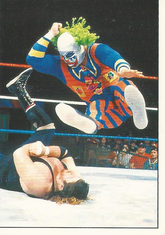 WWF Panini 1995 Sticker Collection Doink the Clown #92