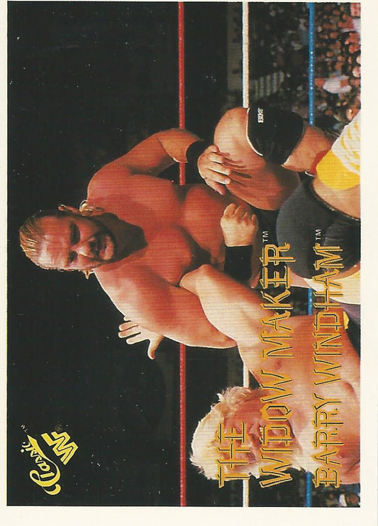 WWF Classic Trading Cards 1990 Barry Windham No.93 trading card PW Catalog