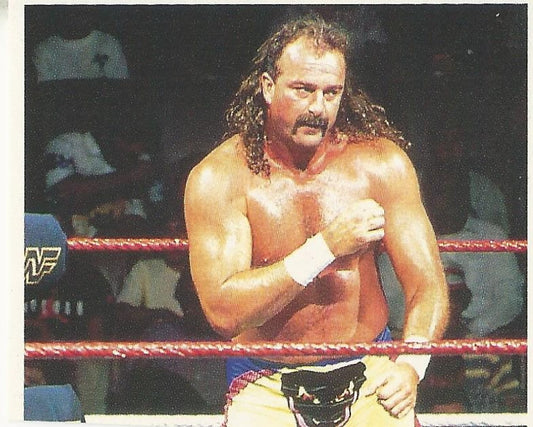 WWF Merlin Stickers 1991 Jake the Snake Roberts #93