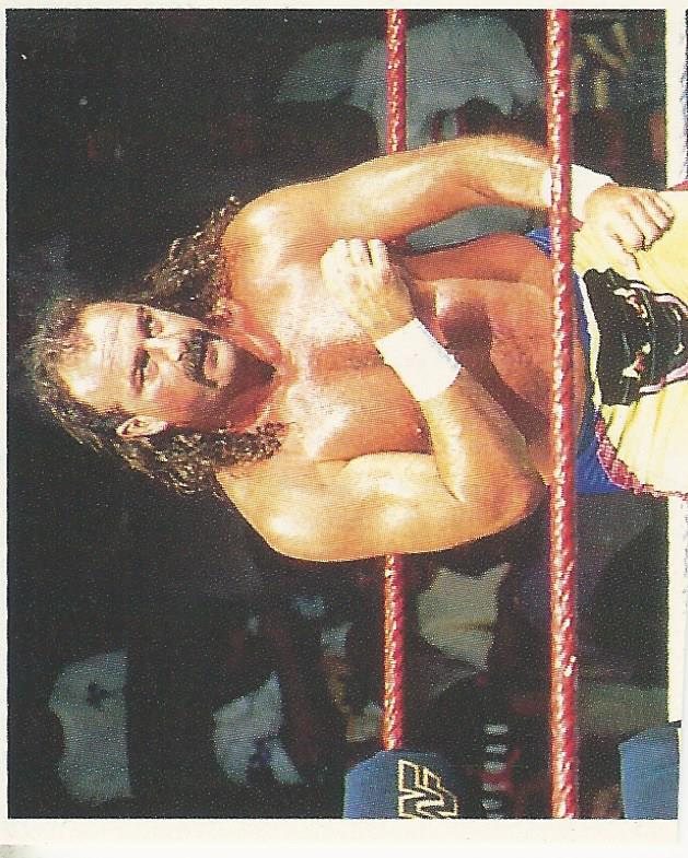 WWF Merlin Stickers 1991 Jake the Snake Roberts #93