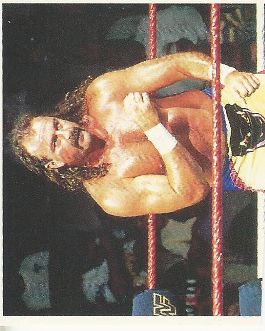 WWF Merlin Stickers 1991 Jake the Snake Roberts #93