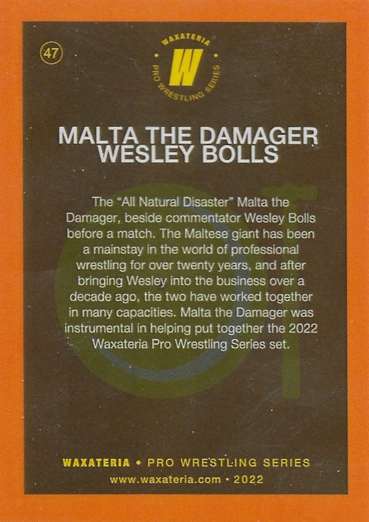 Malta the Damager / Wesley Bolls - image 2