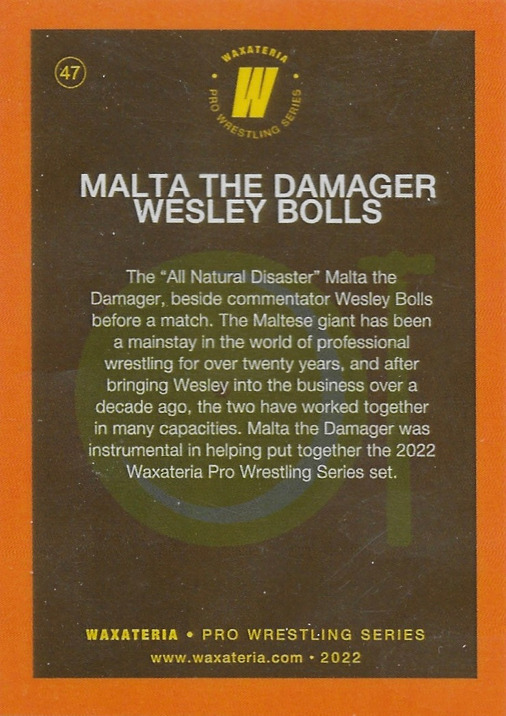 Malta the Damager / Wesley Bolls - image 2