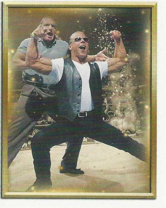 WWE Topps 2018 Stickers Shawn Michaels and HHH DX #94