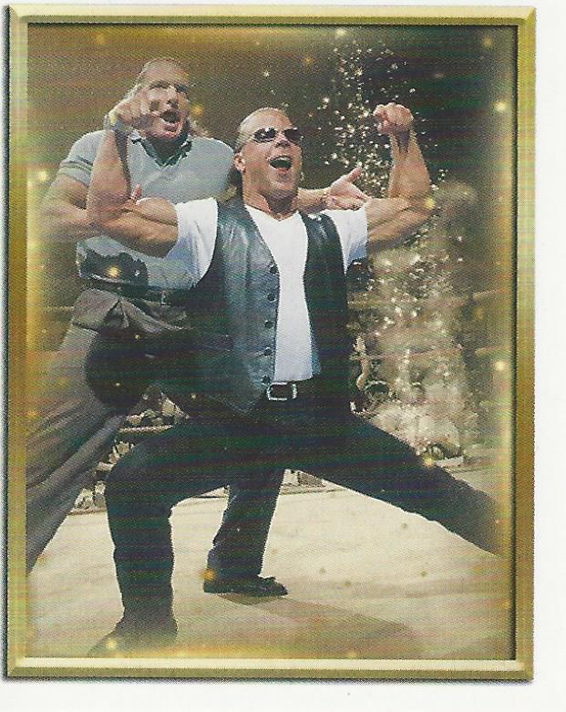 WWE Topps 2018 Stickers Shawn Michaels and HHH DX #94