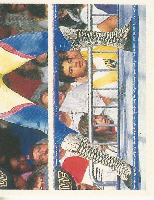 WWF Merlin Stickers 1991 Jake the Snake Roberts #94